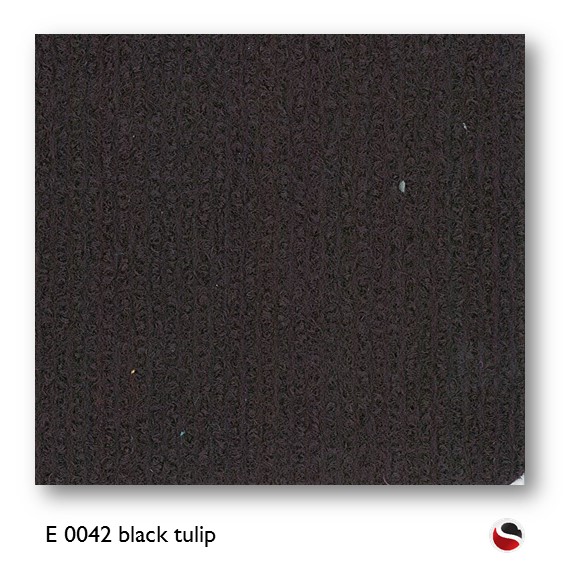 E 0042 black tulip