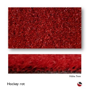 Hockey rot
